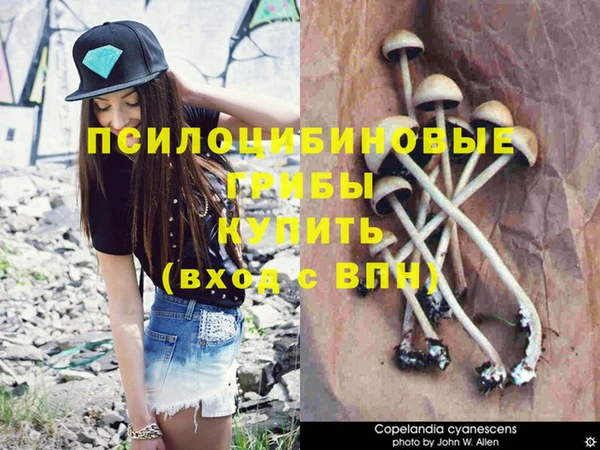 МДПВ Абаза